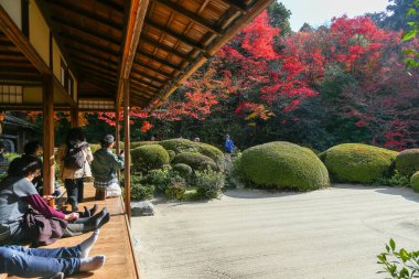 Kyoto, Japonya - 27 Kasım 2017: Sonbahar yeşillik mevsiminde güzel Shisendo tapınağı kum parkı turistlerin fotoğraf çekebileceği en sevdikleri yerdir..