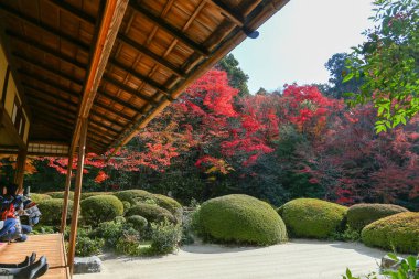 Kyoto, Japonya - 27 Kasım 2017: Sonbahar yeşillik mevsiminde güzel Shisendo tapınağı kum parkı turistlerin fotoğraf çekebileceği en sevdikleri yerdir..