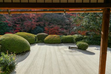 Kyoto, Japonya - 27 Kasım 2017: Sonbahar yeşillik mevsiminde güzel Shisendo tapınağı kum parkı turistlerin fotoğraf çekebileceği en sevdikleri yerdir..