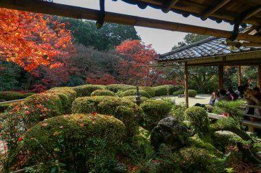 Kyoto, Japonya - 27 Kasım 2017: Sonbahar yeşillik mevsiminde güzel Shisendo tapınağı kum parkı turistlerin fotoğraf çekebileceği en sevdikleri yerdir..