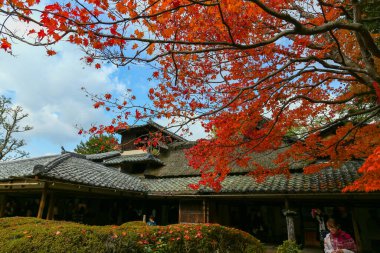 Kyoto, Japonya - 27 Kasım 2017: Sonbahar yeşillik mevsiminde güzel Shisendo tapınağı kum parkı turistlerin fotoğraf çekebileceği en sevdikleri yerdir..