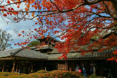 Kyoto, Japonya - 27 Kasım 2017: Sonbahar yeşillik mevsiminde güzel Shisendo tapınağı kum parkı turistlerin fotoğraf çekebileceği en sevdikleri yerdir..