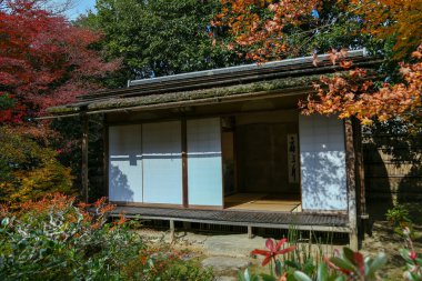 Kyoto, Japonya - 27 Kasım 2017: Sonbahar yeşillik mevsiminde güzel Shisendo tapınağı kum parkı turistlerin fotoğraf çekebileceği en sevdikleri yerdir..