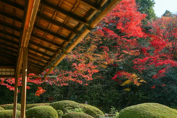 kyoto,Japan - November 27, 2017 : The beautiful Shisendo temple sand park in the fall foliage season is a favorite place for tourists to take photos.