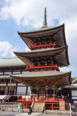 Chiba Japonya - 22 Mart 2017: Naritasan Omotesando Caddesi, Chiba uzun bir geçmişi olan bir sokaktır. Kutsal antik tapınaklar ve yol kenarında hediyelik eşya dükkanları var. Yılan balığı çok lezzetlidir..