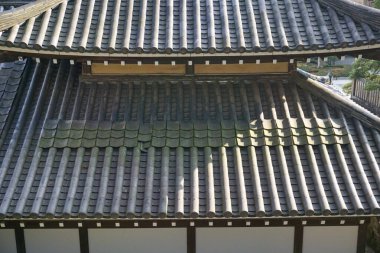 Chiba Japonya - 22 Mart 2017: Naritasan Omotesando Caddesi, Chiba uzun bir geçmişi olan bir sokaktır. Kutsal antik tapınaklar ve yol kenarında hediyelik eşya dükkanları var. Yılan balığı çok lezzetlidir..