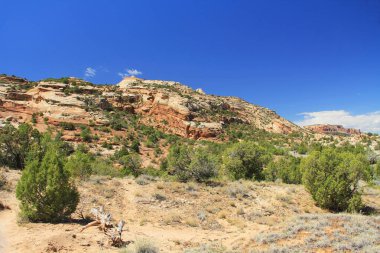 Colorado Ulusal Anıt Parkı 'nda mavi gökyüzü kopyalama alanı olan kaya oluşumları. Fruita, Colorado, ABD 'de kurulmuştur..