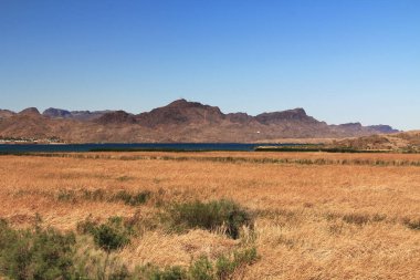 Bill Williams Nehri Ulusal Yaban Hayatı Sığınağı Havasu Gölü ve Colorado Nehri yakınında Havasu City, Arizona, ABD manzaralı ve mavi gökyüzü kopyalama alanı.