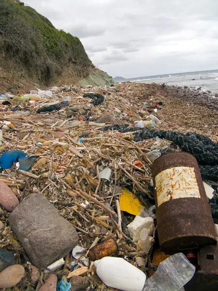 Plajda bir sürü çöp, plastik bardaklar ve plastik torbalar. Deniz enkazı dünyanın en büyük çevresel sorunlarından biridir. Çevreyi ve deniz doğasını korumak. Yüksek kalite fotoğraf