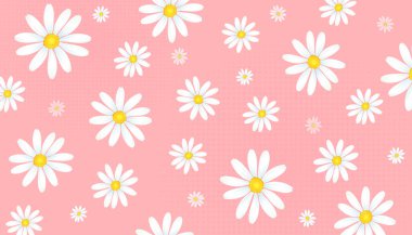 Pembe papatya çiçeğinin kusursuz deseni