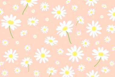 Çiçeksiz papatya ve papatya desenli. Ambalaj kağıdı için çiçek arkaplanı