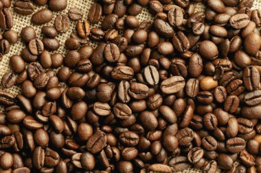 Kahve çekirdekleri yakın plan, güneş ışığıyla aydınlatılıyor. Merkezine odaklanmış kahve çekirdekleri yakın plan..