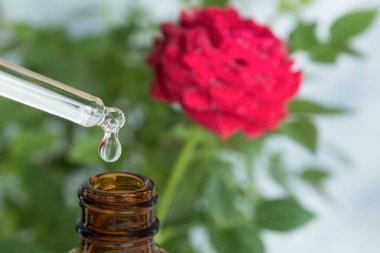 Tıbbi bir pipetten bir damla hammadde akar. Sıvının damladığı kozmetik bir damlatıcı. Mavi bir arka plana atla. Boşluğu kopyala