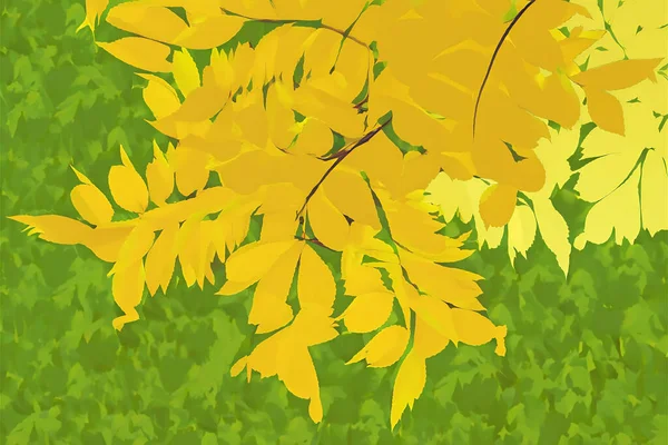 Sárga Levelek Hullanak Fákról Közelről Háttérszöveg Szöveghez Absztrakt Háttér Őszi — Stock Fotó
