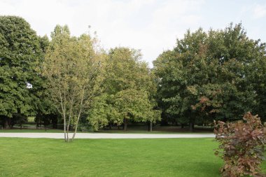 Şehir parkındaki manzara çok güzel. Gerçek manzara, parktaki ağaçlar ve çimenler. Central City Parkı
