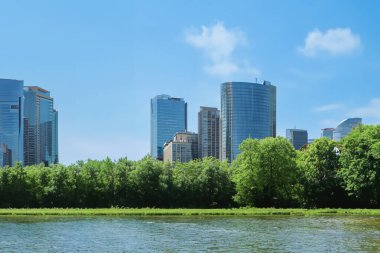 Şehir parkındaki manzara çok güzel. Gerçek manzara, parktaki ağaçlar ve çimenler. Central City Parkı