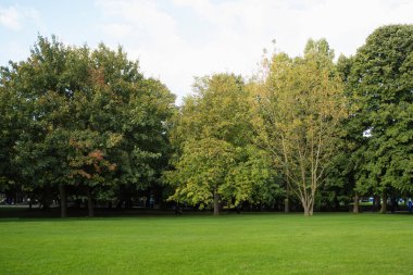 Şehir parkındaki manzara çok güzel. Gerçek manzara, parktaki ağaçlar ve çimenler. Central City Parkı