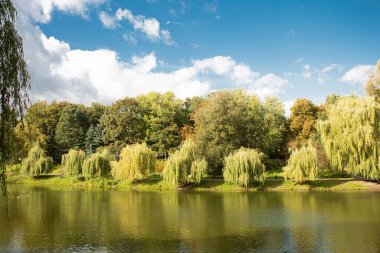 Şehir parkındaki manzara çok güzel. Gerçek manzara, parktaki ağaçlar ve çimenler. Central City Parkı