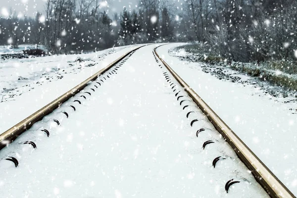 Railway Winter Winter Railway Forest Railway Snow Winter Landscape Empty — Stock Photo, Image