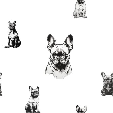 Kusursuz desen, köpek portresi. Neşeli, komik köpek.