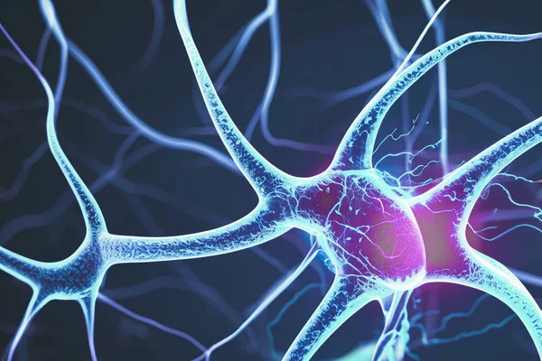 医学と神経学のテーマに関するイラスト 医学教育 神経学 脳シグナル 情報伝達 生物学 解剖学 微生物学 ストック写真
