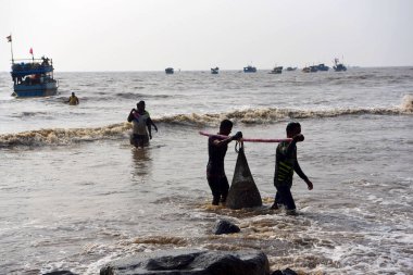 Mumbai, Hindistan / 10 Eylül 2017: Güney Asyalı Hintli balıkçılar Uttan Sahili 'nde satılmak üzere denize demirlemiş teknelerinden bir sürü balık taşıyorlar. 