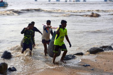 Mumbai, Hindistan / 10 Eylül 2017: Güney Asyalı Hintli balıkçılar Uttan Sahili 'nde satılmak üzere denize demirlemiş teknelerinden bir sürü balık taşıyorlar. 