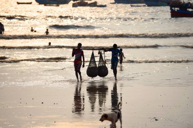 Mumbai, Hindistan / 10 Eylül 2017: Güney Asyalı Hintli balıkçılar Uttan Sahili 'nde satılmak üzere denize demirlemiş teknelerinden bir sürü balık taşıyorlar. 