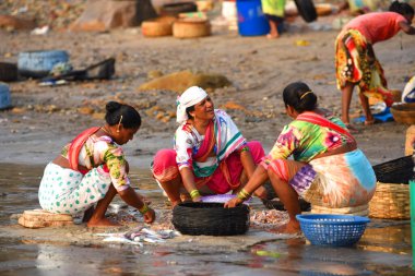 Mumbai, Hindistan / 10 Eylül 2017: Koli topluluğundan Güney Asyalı balıkçı kadınlar Uttan Sahili 'nde satılık farklı balık çeşitlerini ayırıyorlar. 