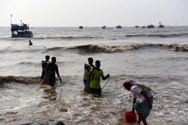 Mumbai, Hindistan / 10 Eylül 2017: Güney Asyalı Hintli balıkçılar Uttan Sahili 'nde satılmak üzere denize demirlemiş teknelerinden bir sürü balık taşıyorlar. 