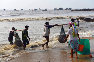 Mumbai, Hindistan / 10 Eylül 2017: Güney Asyalı Hintli balıkçılar Uttan Sahili 'nde satılmak üzere denize demirlemiş teknelerinden bir sürü balık taşıyorlar. 