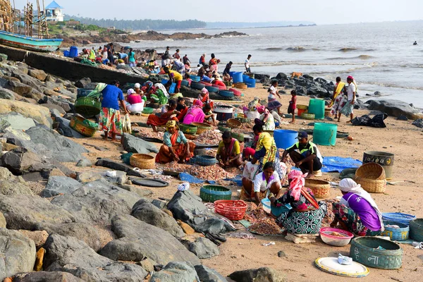 Mumbai, Hindistan / 10 Eylül 2017: Koli topluluğundan Güney Asyalı balıkçı kadınlar Uttan Sahili 'nde satılık farklı balık çeşitlerini ayırıyorlar. 