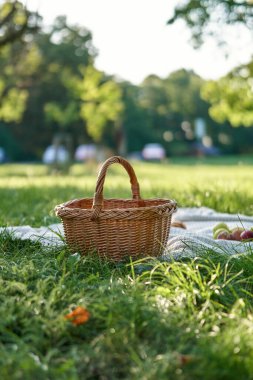 yeşil çimenlerin üzerinde piknik sepet