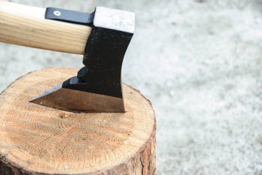 Ağaç kesme işi. Kopya alanı olan bir ağaç gövdesine saplanmış bir balta.