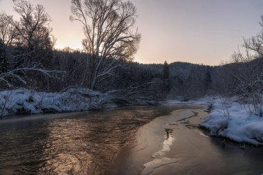 Sabahları Karpat Dağları ve karla kaplı ağaçlar arasında Muszynka Nehri 'nin pitoresk vadisi. Poprad Peyzaj Parkının doğu sınırı..