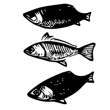 beyaz arkaplanda siyah beyaz tonlu balıklar