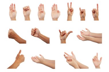 Çeşitli pozlarda el hareketleri koleksiyonu içerir. beyaz arkaplanda