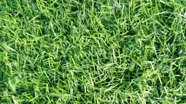 Kalın yapay ot dokusu arkaplanı