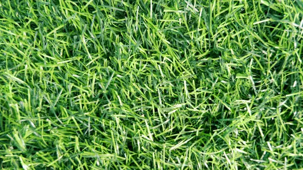 Kalın yapay ot dokusu arkaplanı