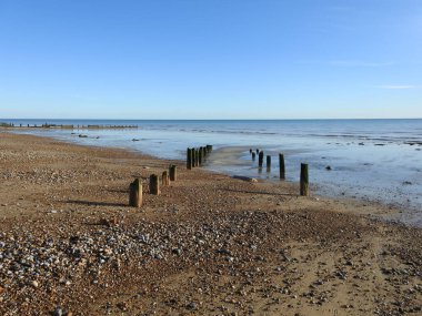 View of the old wooden piles on the beach, possibly on a small pier
