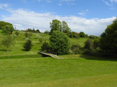 Ağaçları ve güzel manzarası olan otlak yeşil bir alan.