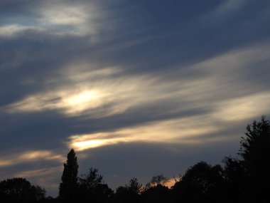 Ağaçların üzerinde yatay çizgileri olan mavi ve beyaz gökyüzü