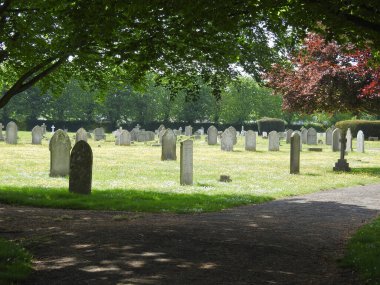 Çimenli ve ağaçlı eski mezarlığın manzarası