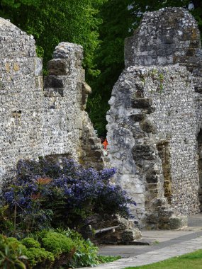Yeşil renkli bir duvarın yıkıntıları