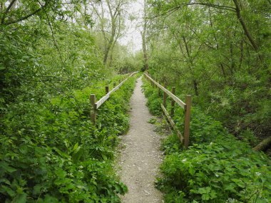 Nehrin üzerinde yaya geçidi olan kırsal bölge manzarası