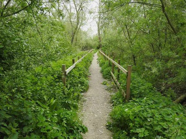 Nehrin üzerinde yaya geçidi olan kırsal bölge manzarası