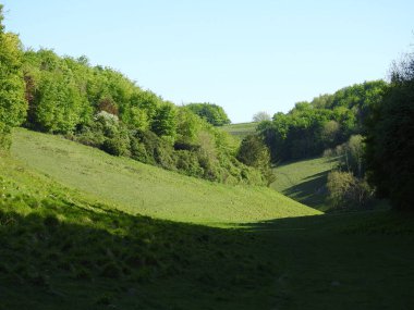 İngiltere 'de ağaçları ve otları olan yeşil alanlar.