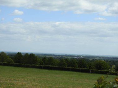 Kırsaldaki yeşil tarlaların ve ağaçların manzarası