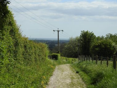Kum ve yeşillikle kaplı dar toprak yol