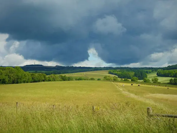 İngiliz kırsalında yeşil tarlalar, orman ve ağaçlar